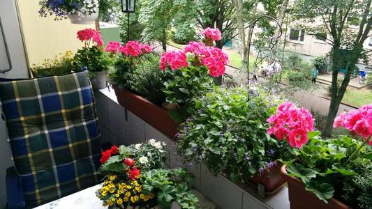 Der schönste Balkon Balkon mit schöner Bepflanzung